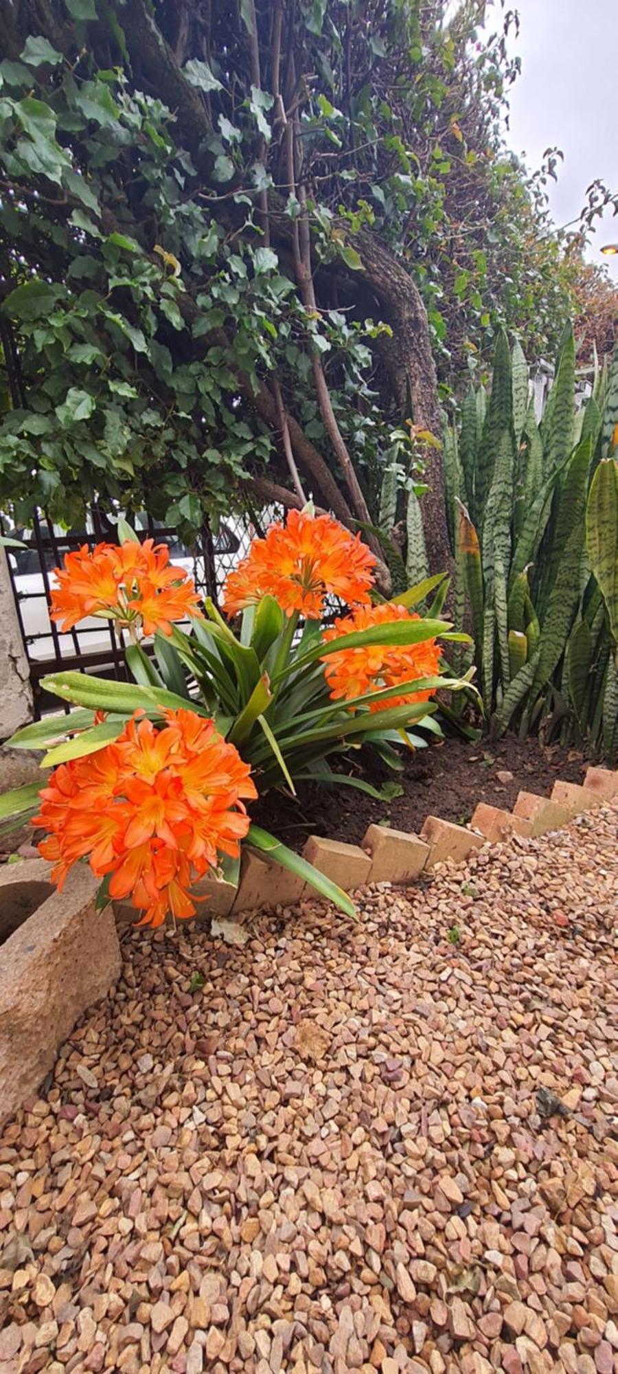 The Lenox Hostel Cape Town Bagian luar foto